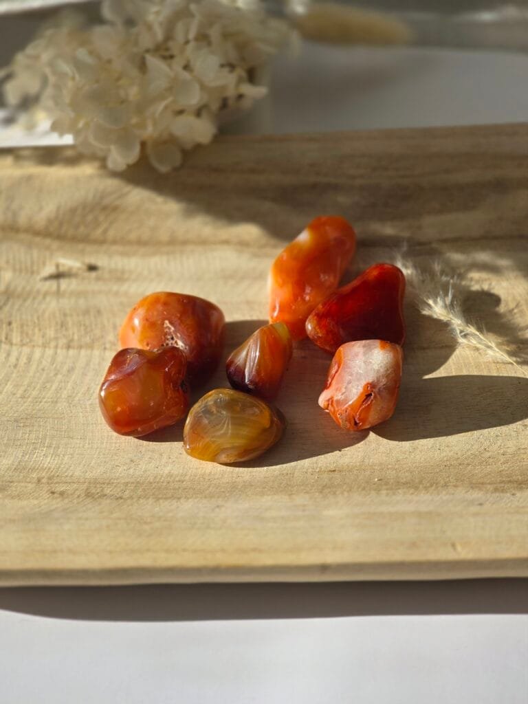 Cornaline polie aux teintes orange-rouge, symbole d'énergie vitale et de créativité en lithothérapie.