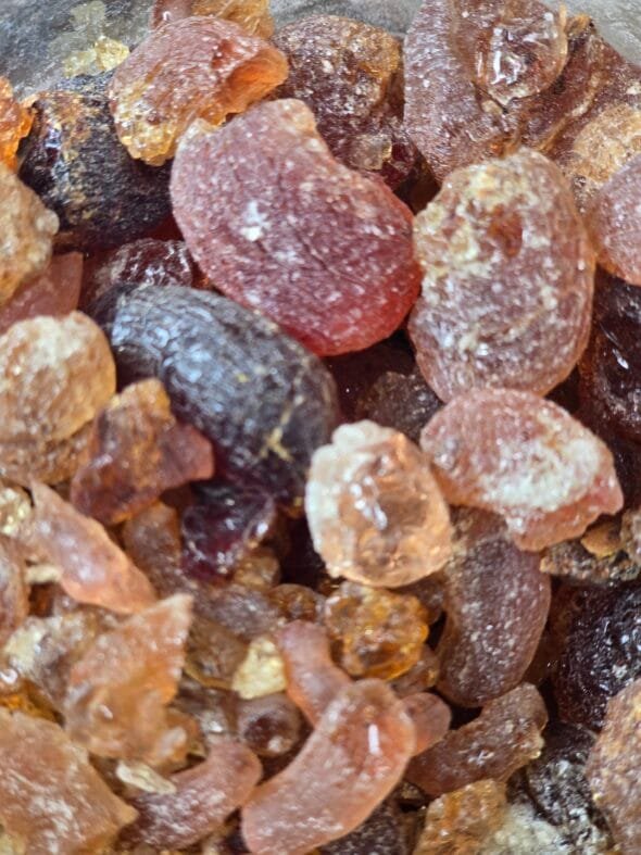 Sachet de 30 g de copal Mesquite – résine sacrée de Prosopis alba, encens naturel du Mexique pour ancrage et purification rituelle.
