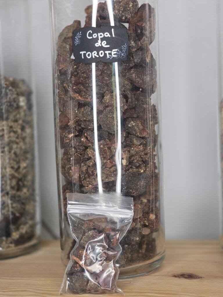 Résine de copal de torote – Bursera microphylla, encens sacré du Mexique.