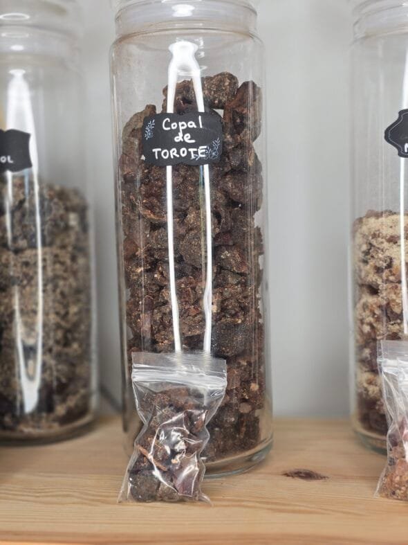 Résine de copal de torote – Bursera microphylla, encens sacré du Mexique.