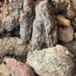 Résine de copal de torote – Bursera microphylla, encens sacré du Mexique.