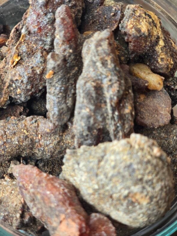Résine de copal de torote – Bursera microphylla, encens sacré du Mexique.