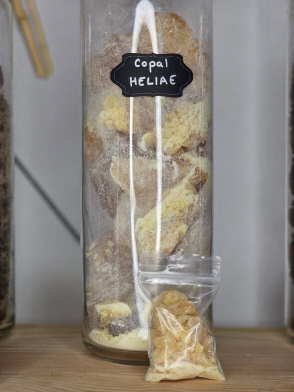 Résine rare de copal « Larme » cristallisée – Bursera heliae