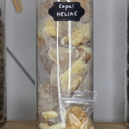 Résine rare de copal « Larme » cristallisée – Bursera heliae