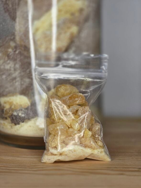 Résine rare de copal « Larme » cristallisée – Bursera heliae