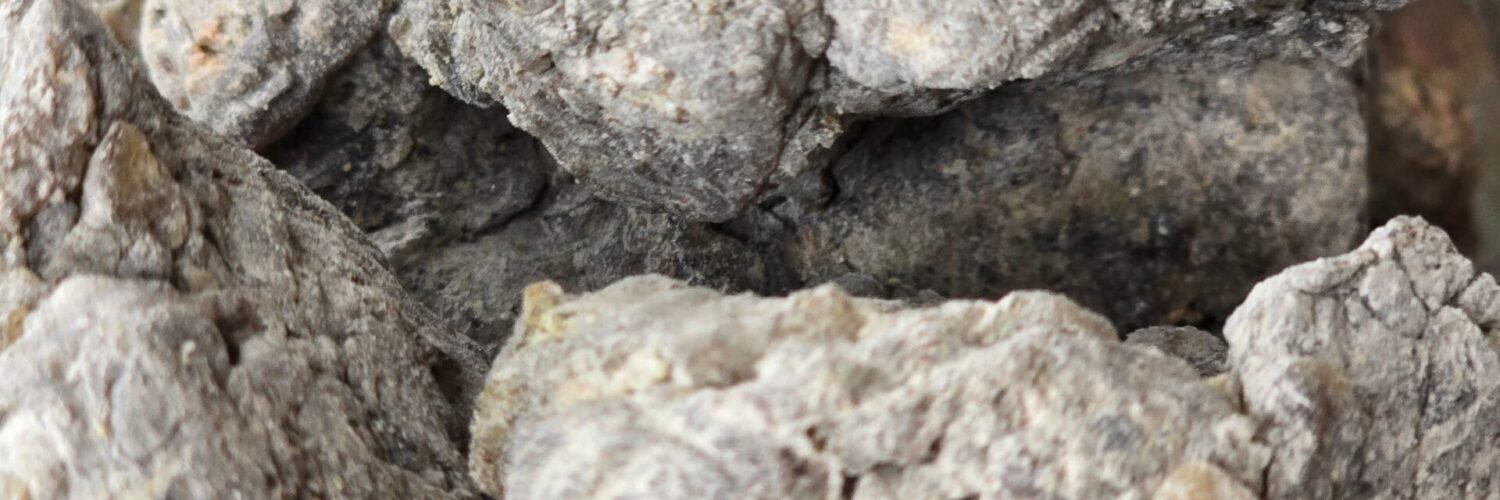 Résine de copal noir en morceaux – encens traditionnel pour fumigation et purification