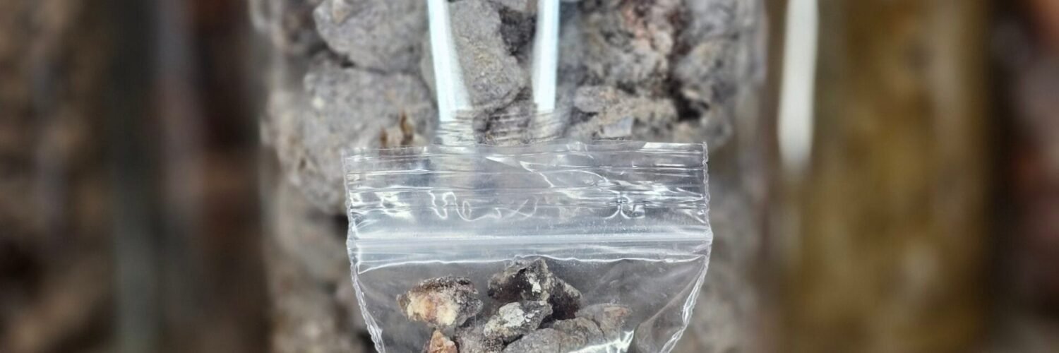 Résine de copal noir en morceaux – encens traditionnel pour fumigation et purification