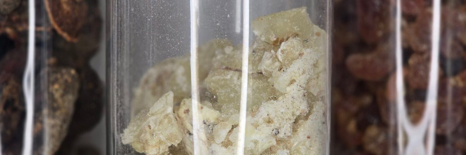 Sachet de 30 g de copal blanc – résine sacrée de Bursera bipinnata, encens naturel du Mexique pour rituels et méditation.