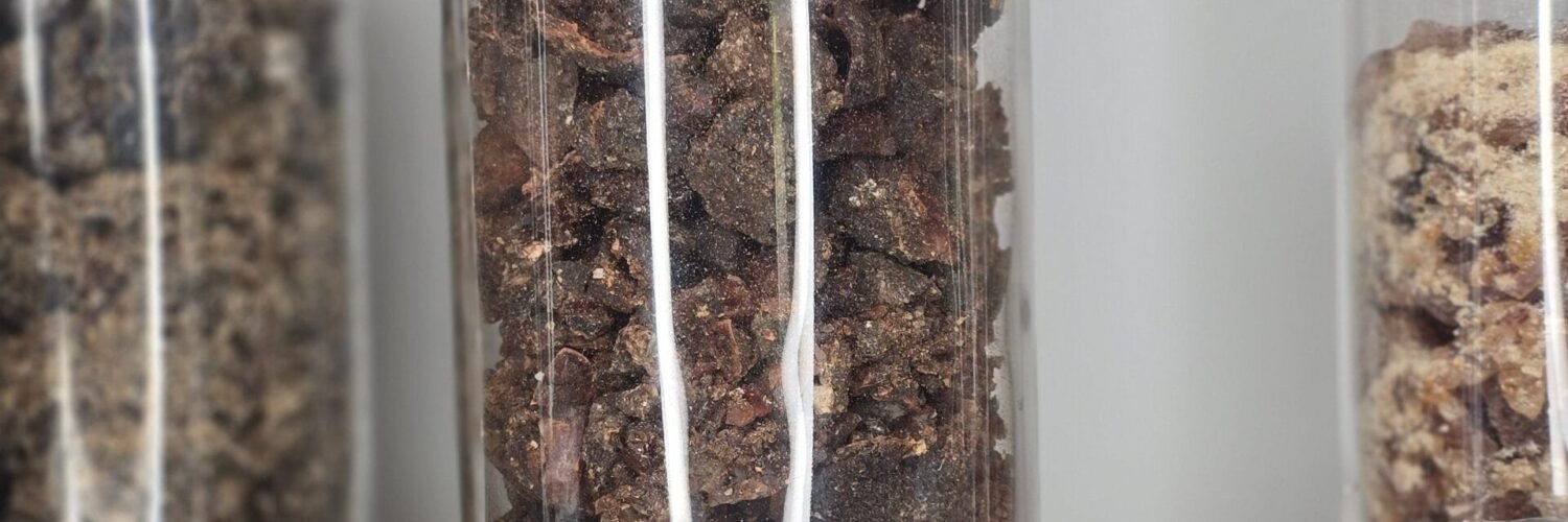 Résine de copal de torote – Bursera microphylla, encens sacré du Mexique.