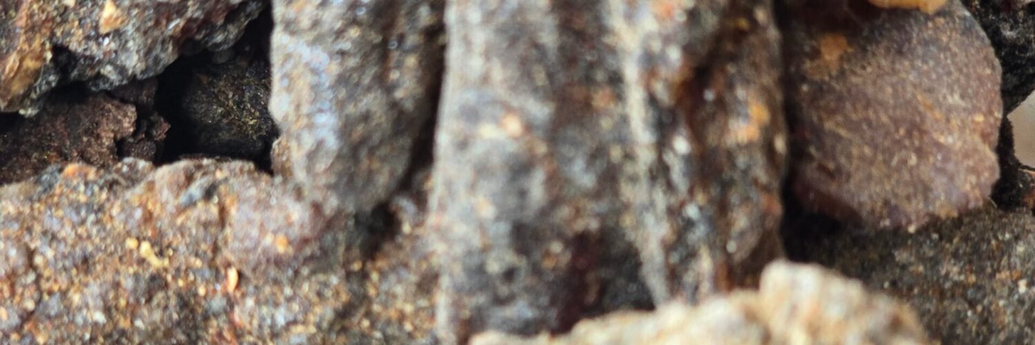 Résine de copal de torote – Bursera microphylla, encens sacré du Mexique.