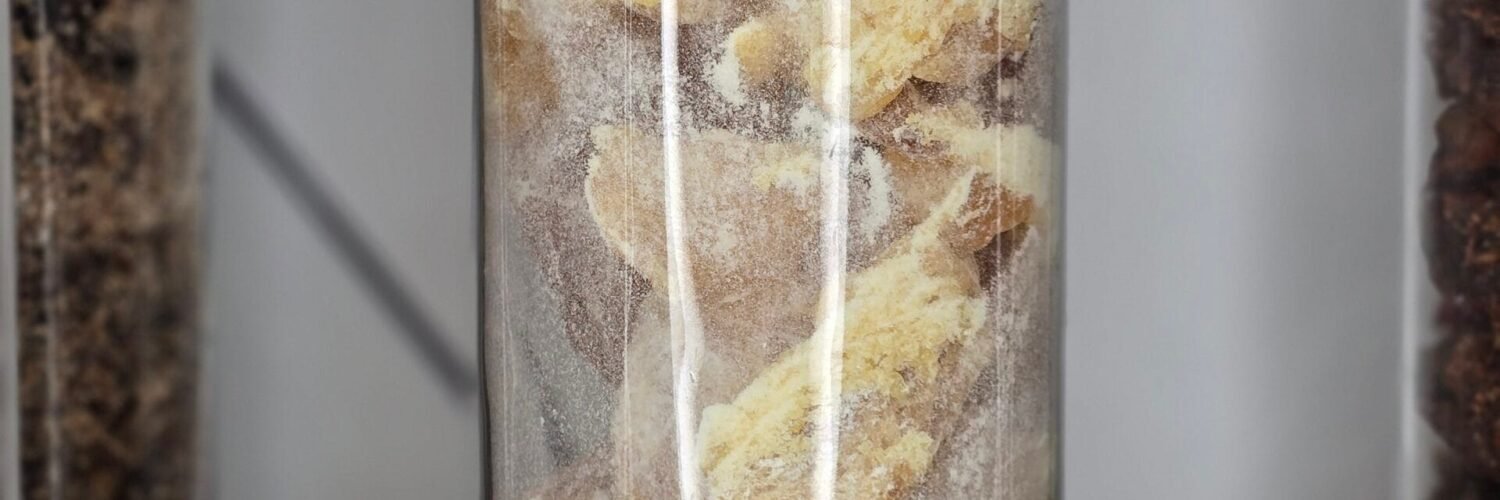 Résine rare de copal « Larme » cristallisée – Bursera heliae