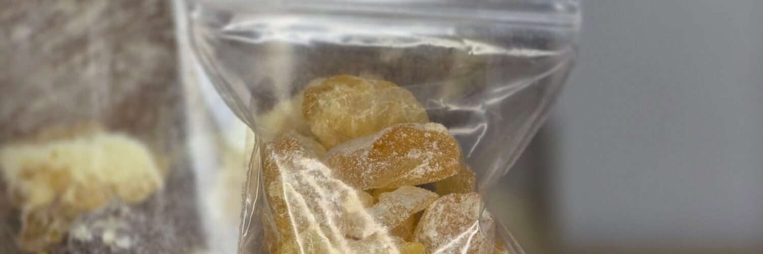 Résine rare de copal « Larme » cristallisée – Bursera heliae