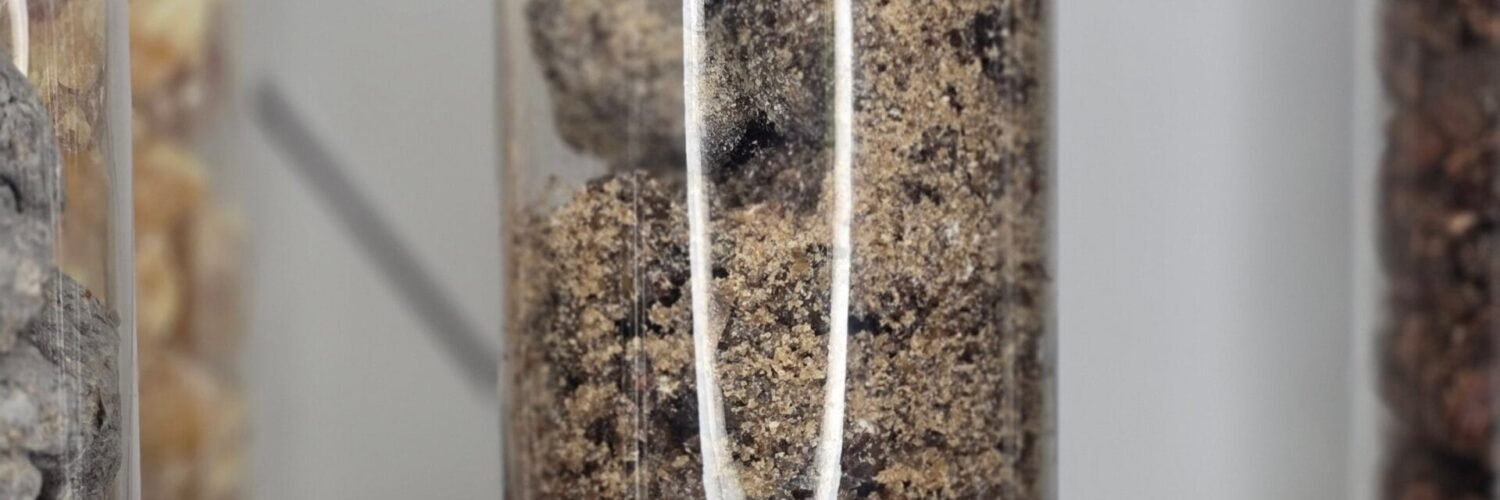 Sachet de 30 g de Copal Huichol – résine sacrée Bursera spp., encens artisanal mexicain pour rituels spirituels et visions.