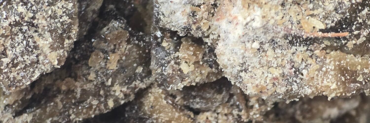 Copal Huichol – résine sacrée Bursera spp., encens artisanal mexicain pour rituels spirituels et visions.